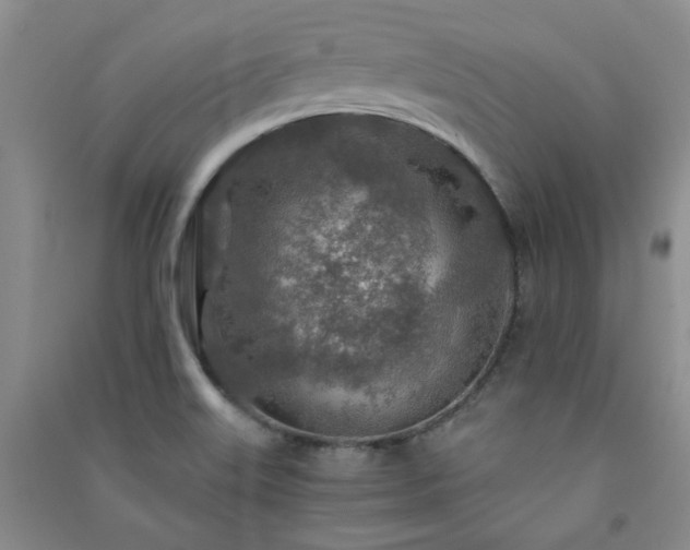 X0000091361515200708171513