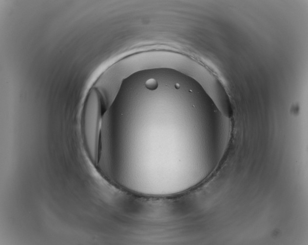X0000091361516200708171513
