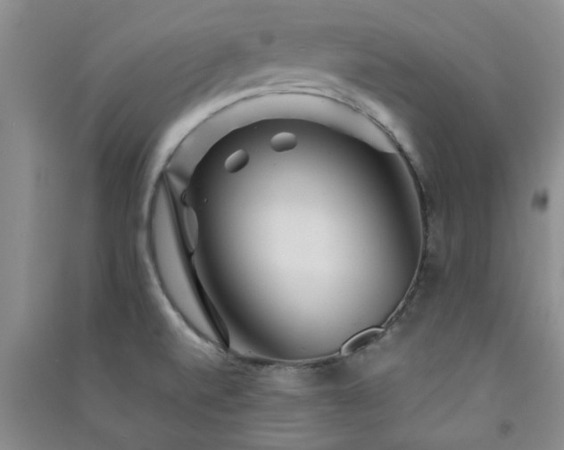 X0000091361520200708171513