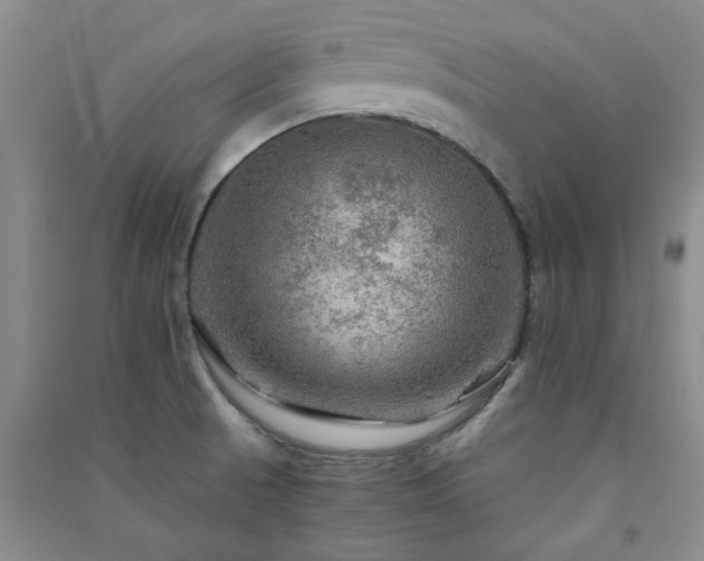 X0000091361521200708171513