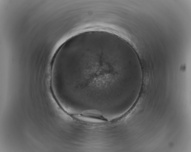 X0000091361522200708171513