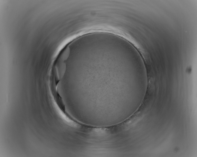 X0000091361523200708171513