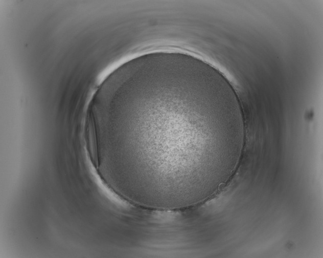 X0000091361526200708171513