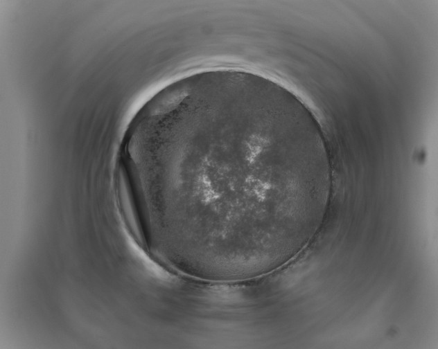 X0000091361527200708171513