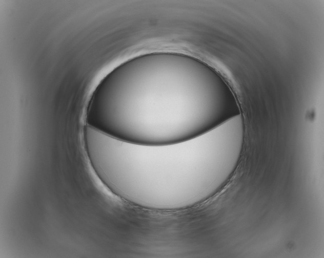 X0000091361528200708171513