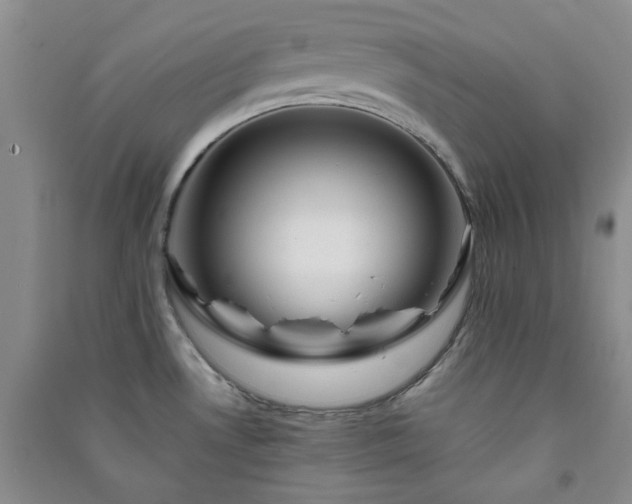 X0000091361530200708171513