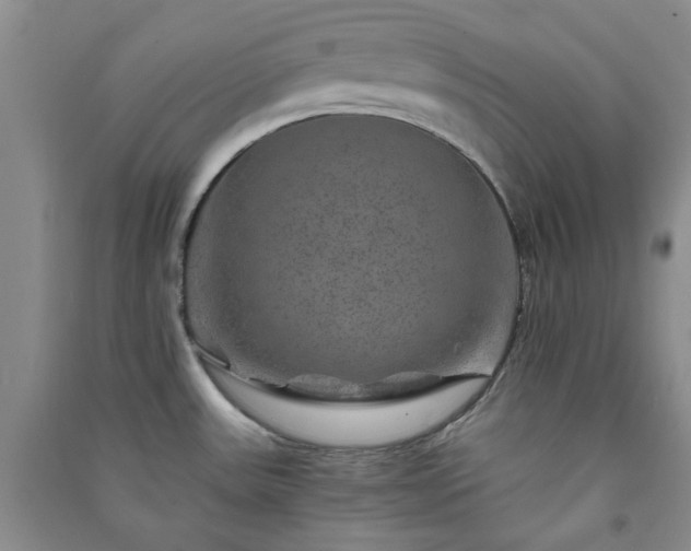 X0000091361531200708171513