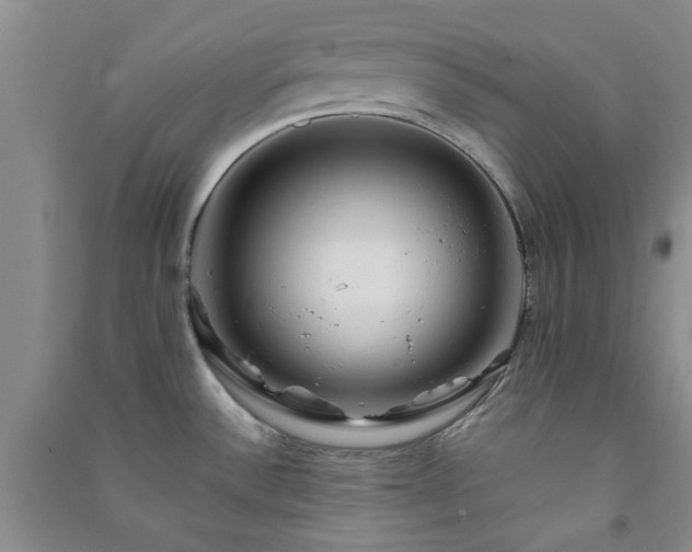 X0000091361532200708171513