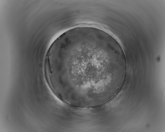 X0000091361533200708171513