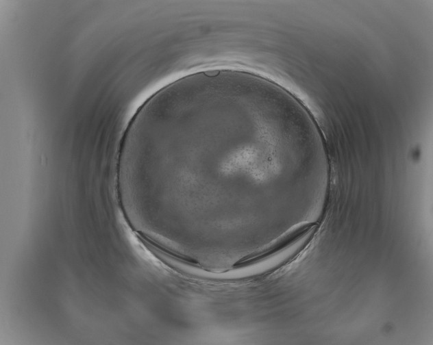 X0000091361534200708171514
