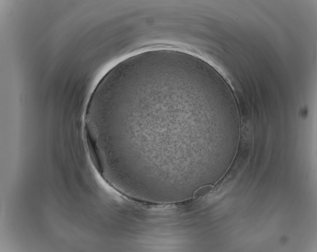 X0000091361535200708171514
