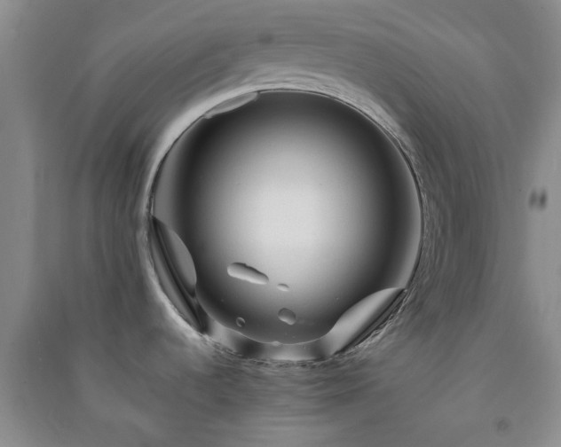X0000091361536200708171514
