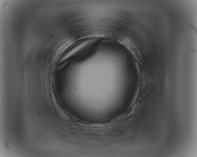 X0000091360001200708241321