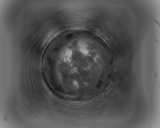 X0000091360002200708241321
