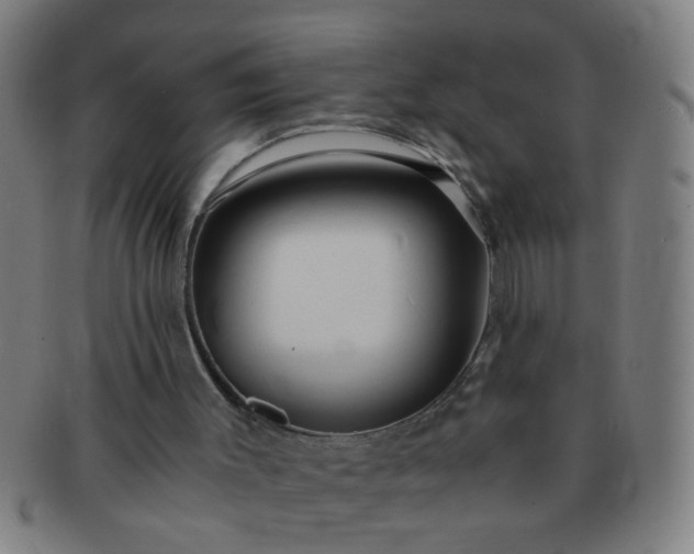X0000091360003200708241321