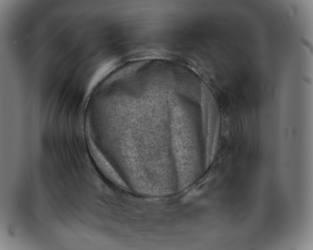 X0000091360004200708241321