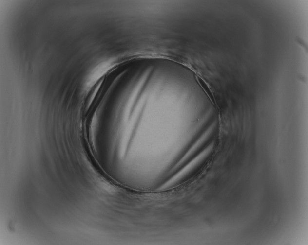 X0000091360005200708241321