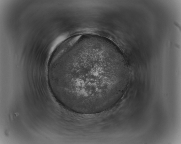 X0000091360006200708241321