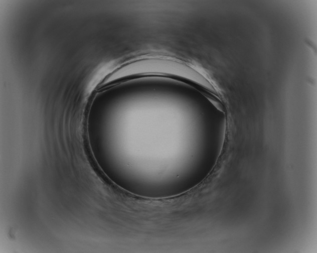X0000091360007200708241321
