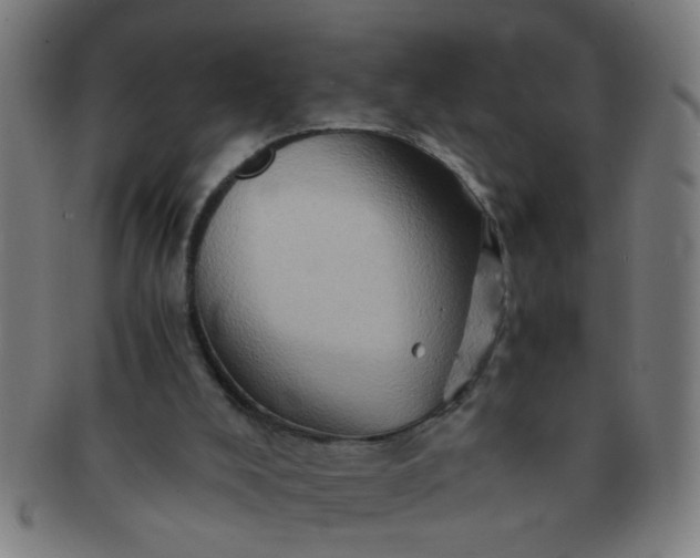 X0000091360008200708241321