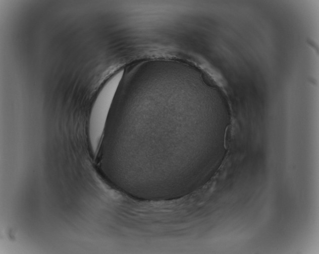 X0000091360009200708241321