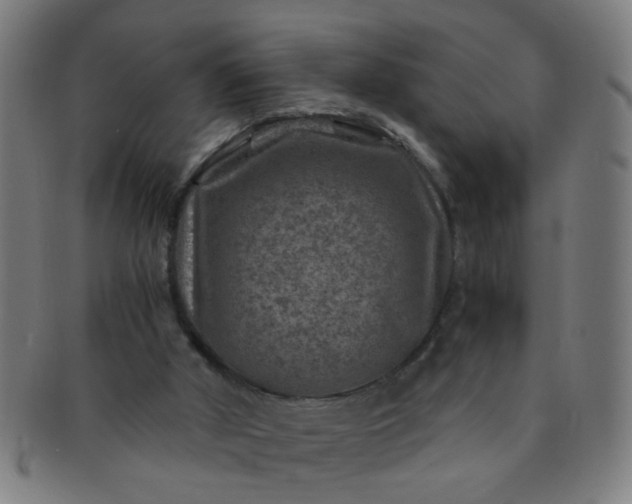 X0000091360010200708241321