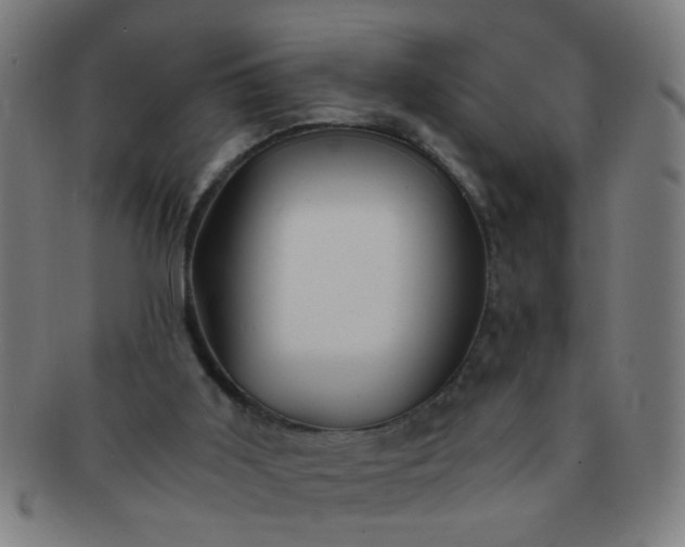 X0000091360011200708241321