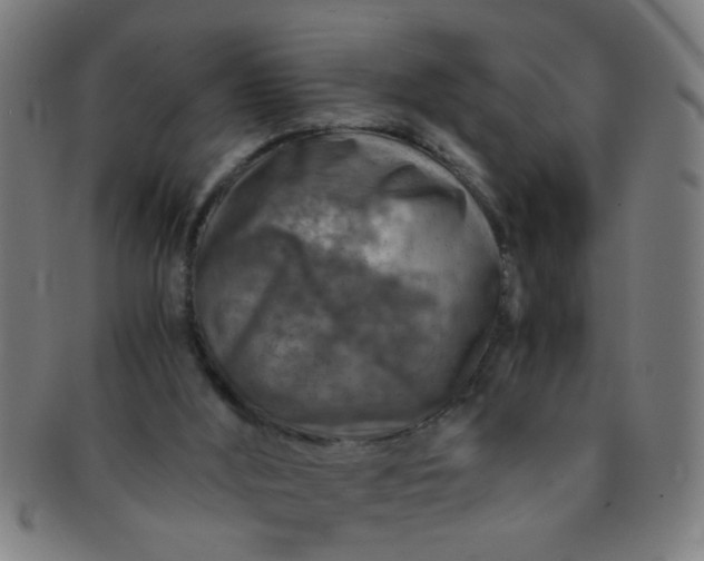 X0000091360012200708241321