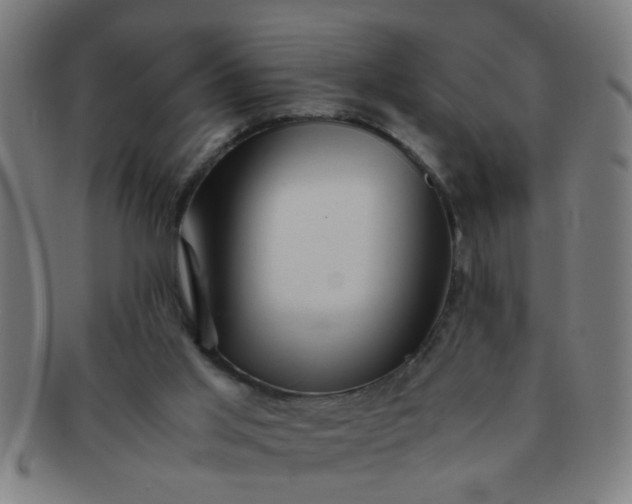 X0000091360013200708241321