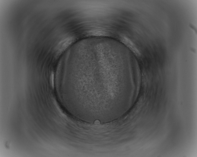 X0000091360014200708241321