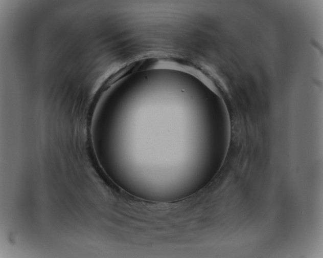 X0000091360015200708241321