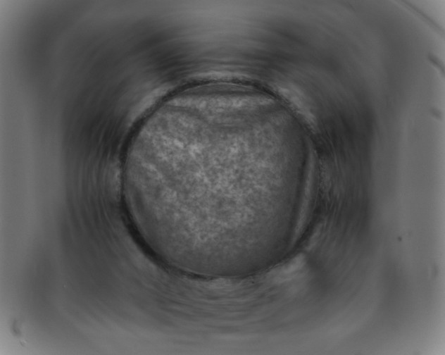X0000091360016200708241321