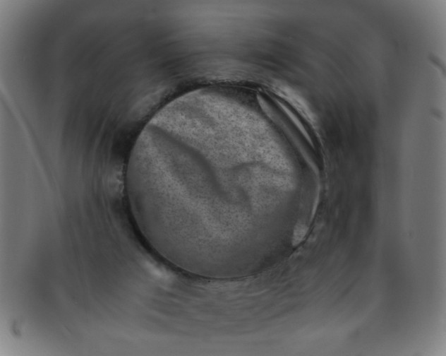 X0000091360017200708241321