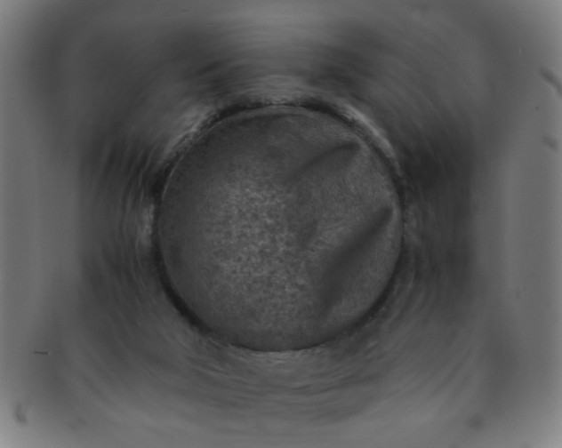 X0000091360018200708241321