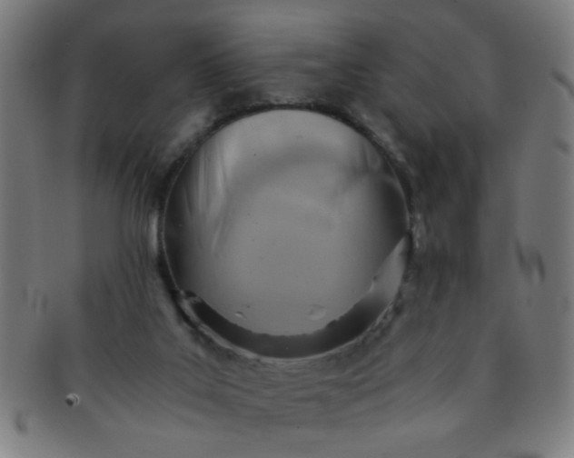 X0000091360019200708241321