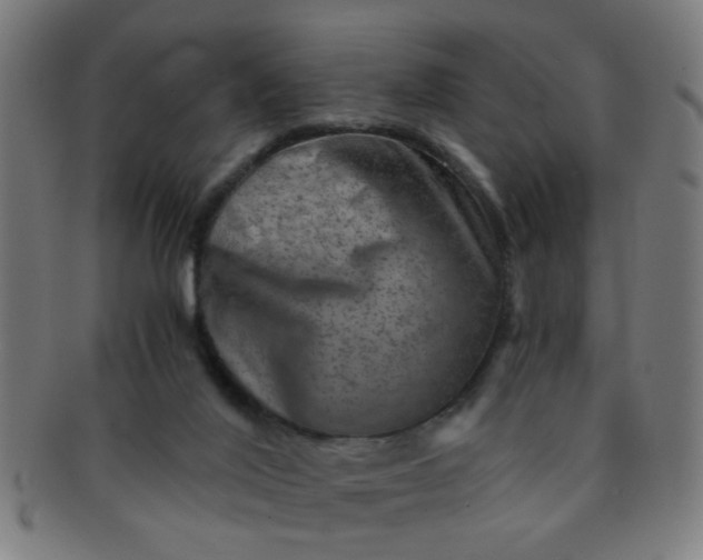 X0000091360020200708241321