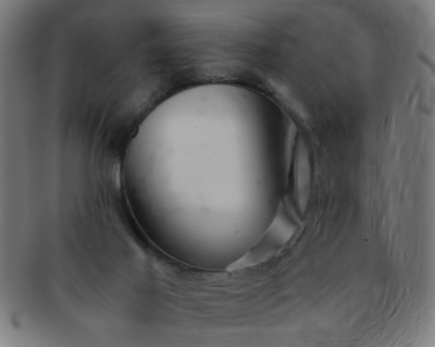 X0000091360021200708241321