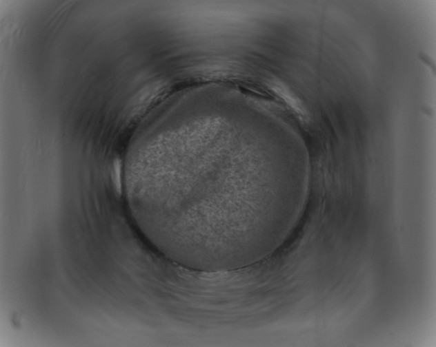 X0000091360022200708241321