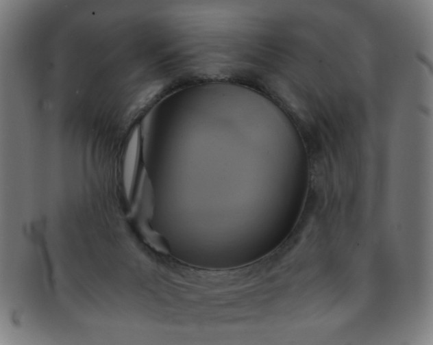 X0000091360023200708241321