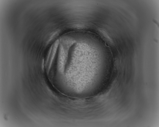 X0000091360024200708241321