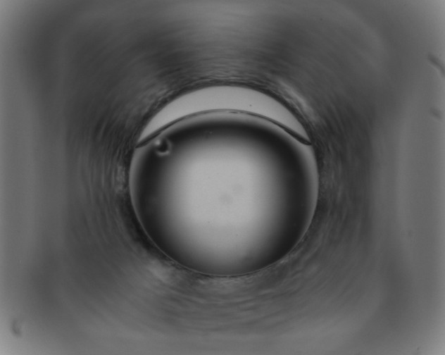X0000091360025200708241321