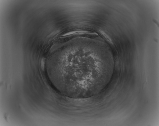 X0000091360026200708241321
