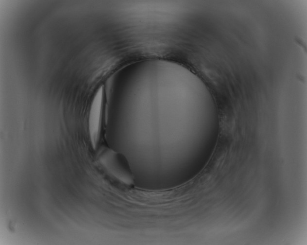 X0000091360027200708241321