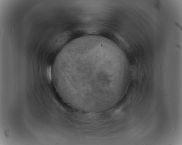 X0000091360028200708241320