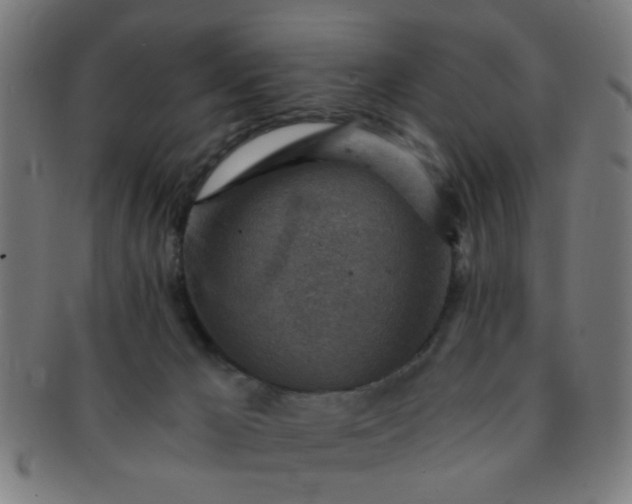 X0000091360029200708241320