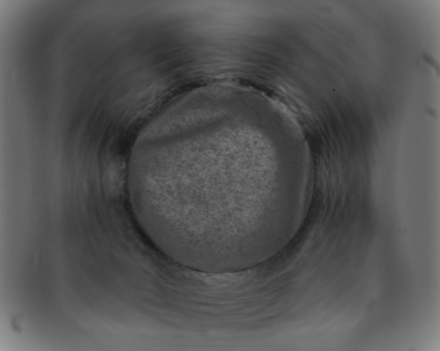 X0000091360030200708241320