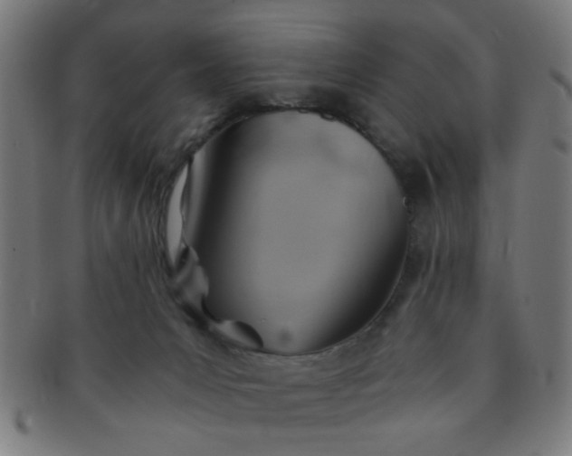 X0000091360031200708241320
