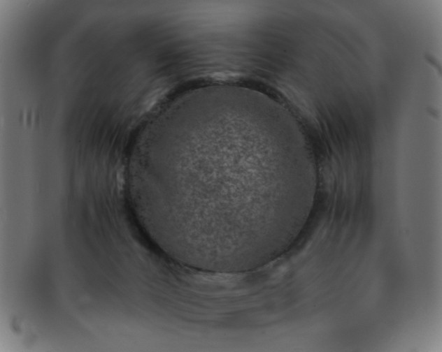 X0000091360032200708241320