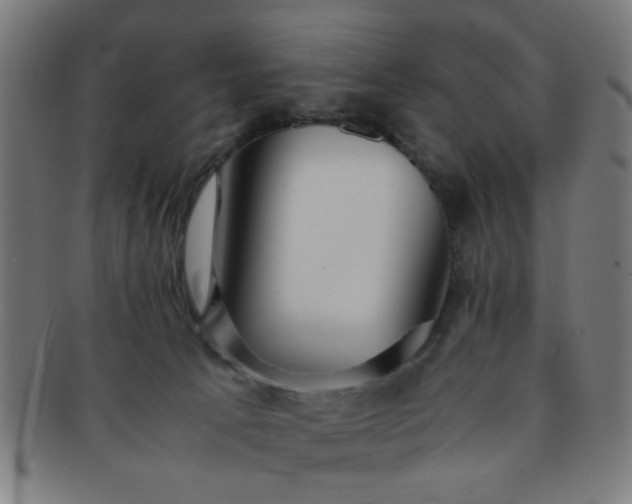 X0000091360033200708241320
