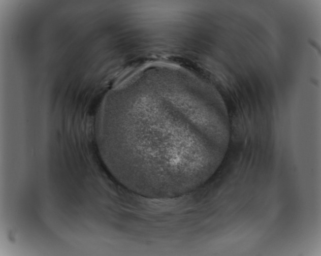 X0000091360034200708241320